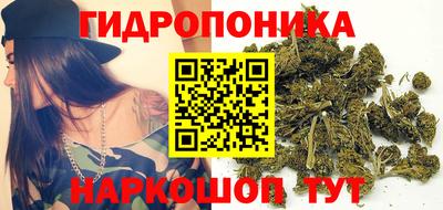 прущие крисы Абинск