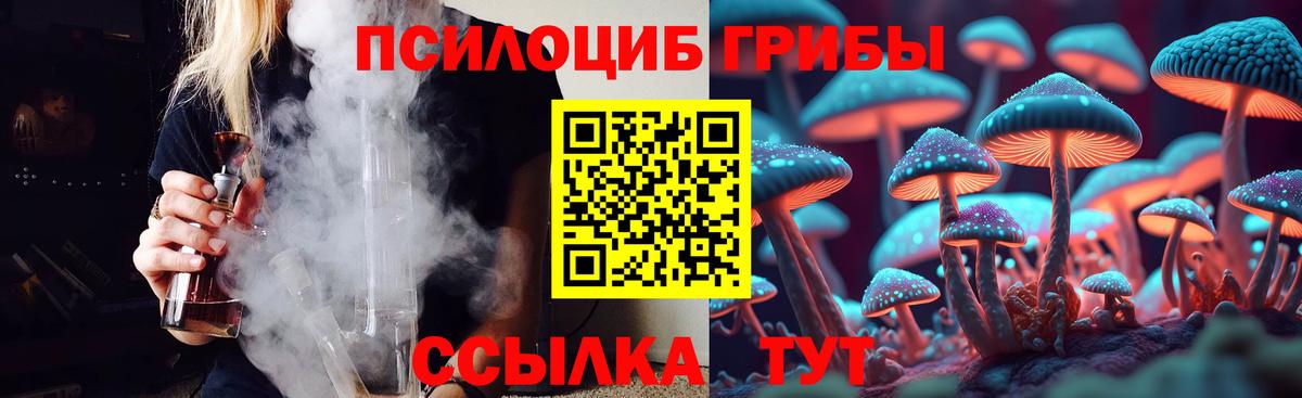 Псилоцибиновые грибы ЛСД  магазин    Альметьевск  Вход с VPN  Галлюциногенные грибы ЛСД 